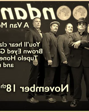 Moondance - Van Morrison Tribute