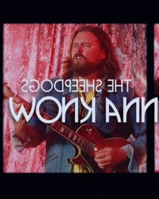 The Sheepdogs