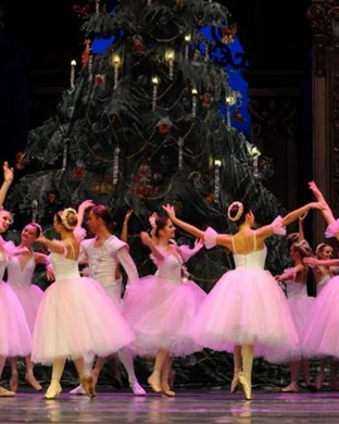 Les Grands Ballets: La Dame Aux Camelias